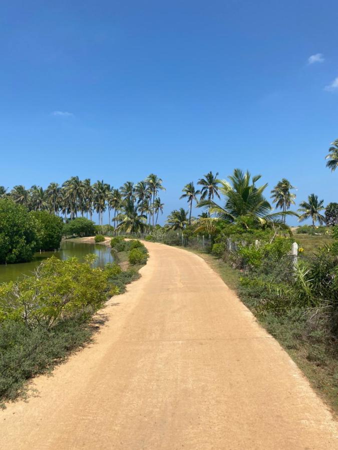 קלפיטייה Sea Sand Resort מראה חיצוני תמונה