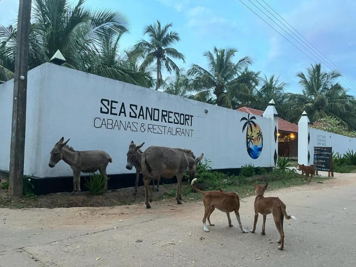קלפיטייה Sea Sand Resort מראה חיצוני תמונה