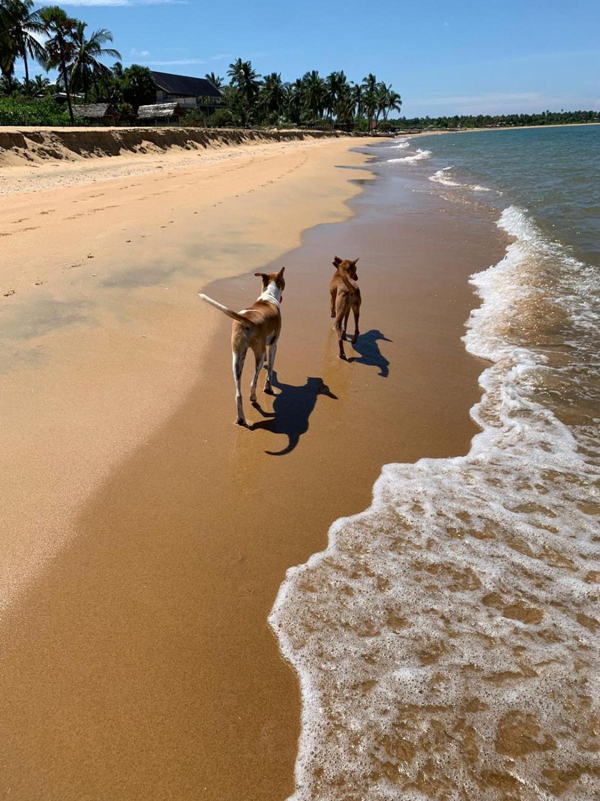 קלפיטייה Sea Sand Resort מראה חיצוני תמונה