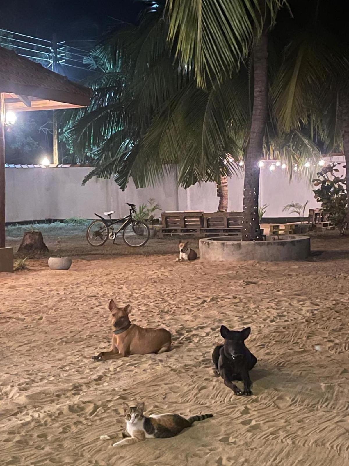 קלפיטייה Sea Sand Resort מראה חיצוני תמונה